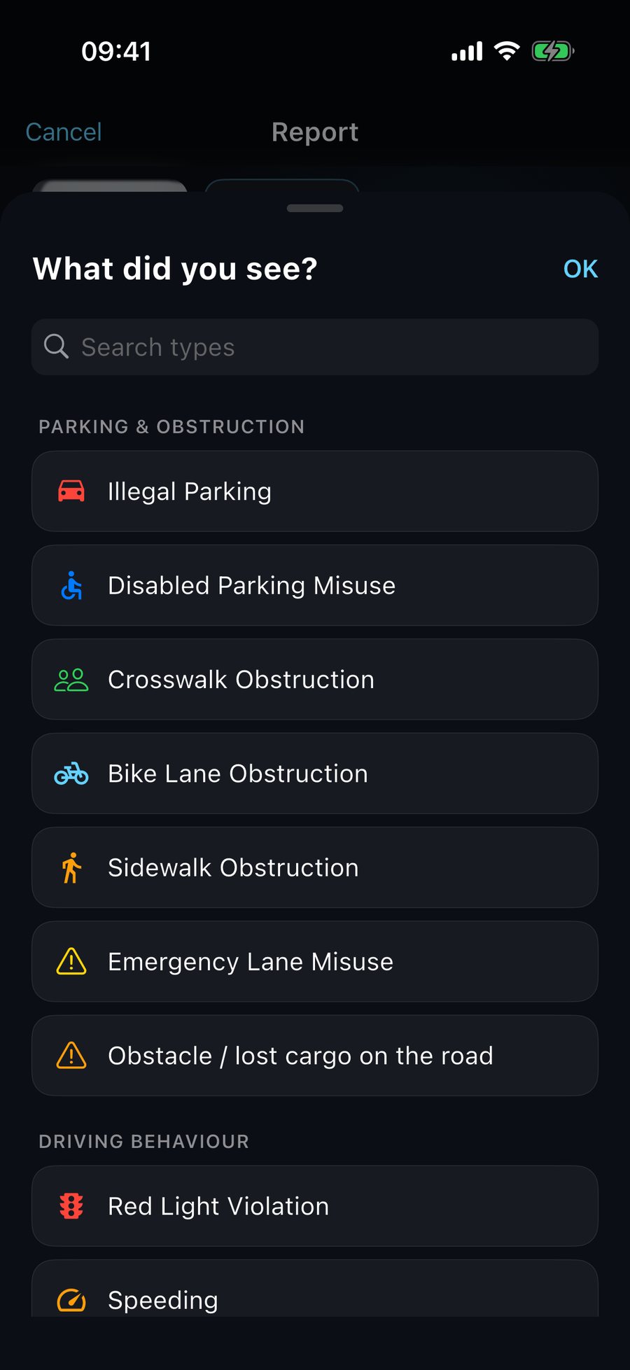 The full list groups the 17 report types under headings such as parking and driving behaviour.